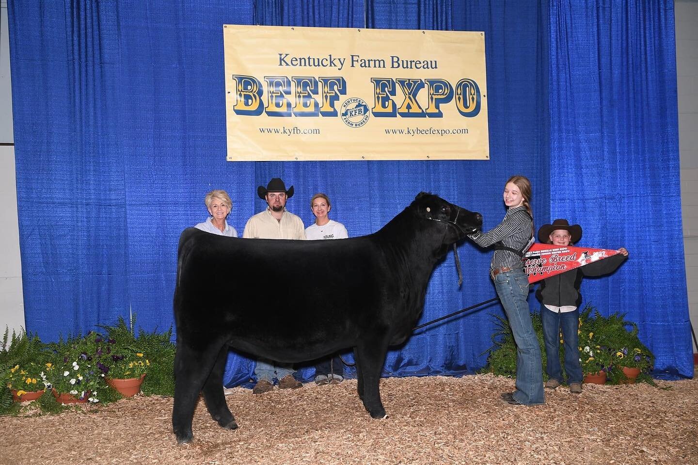 Congratulations to Samantha Pecco on having the Reserve Champion Limousin both saturday and sunday at the Kentucky Beef Expo with HB Avalon 099H et!! We are extremely proud of all of your hard work and success!