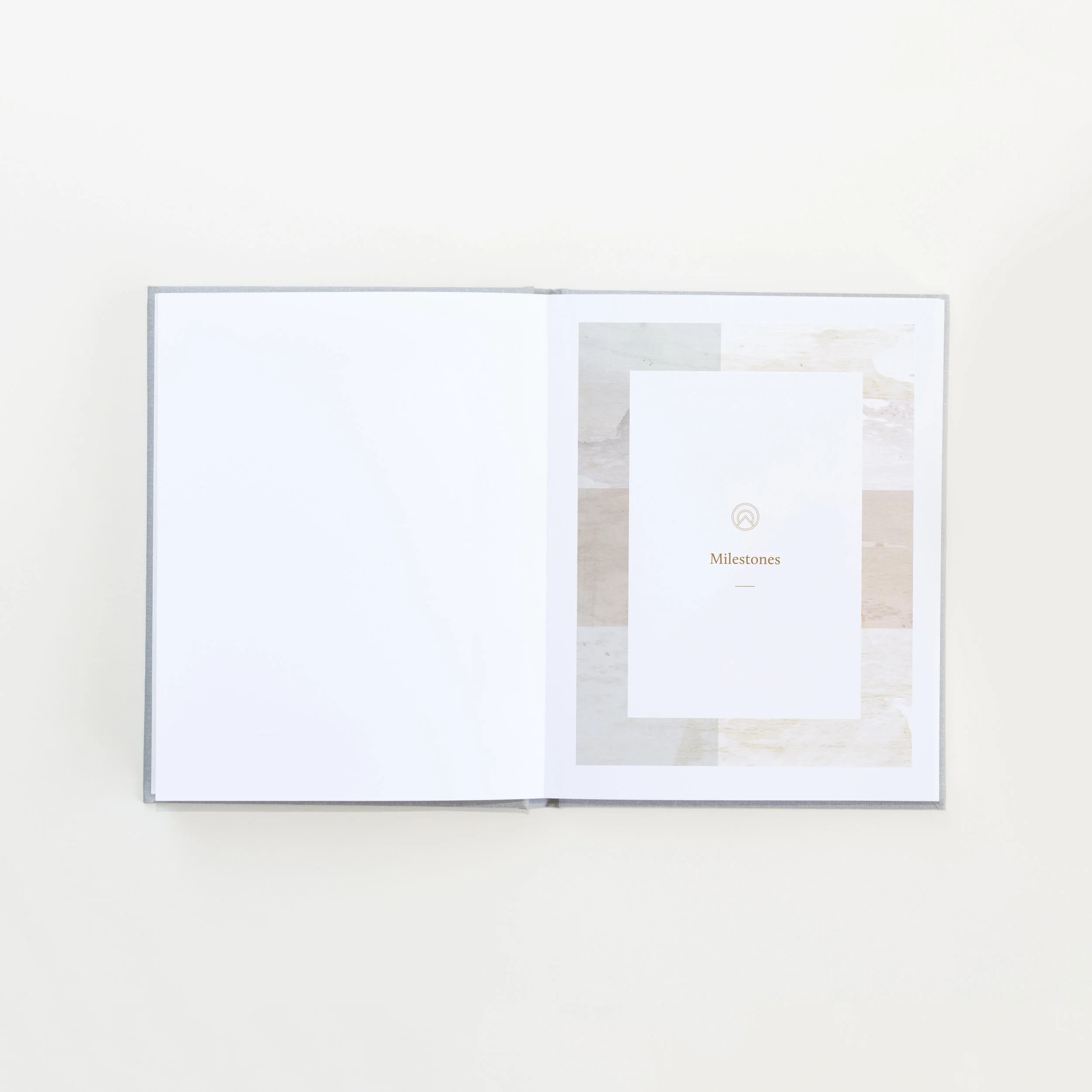 Spread5.jpg