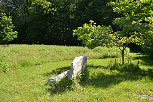  Carter Stone Bench