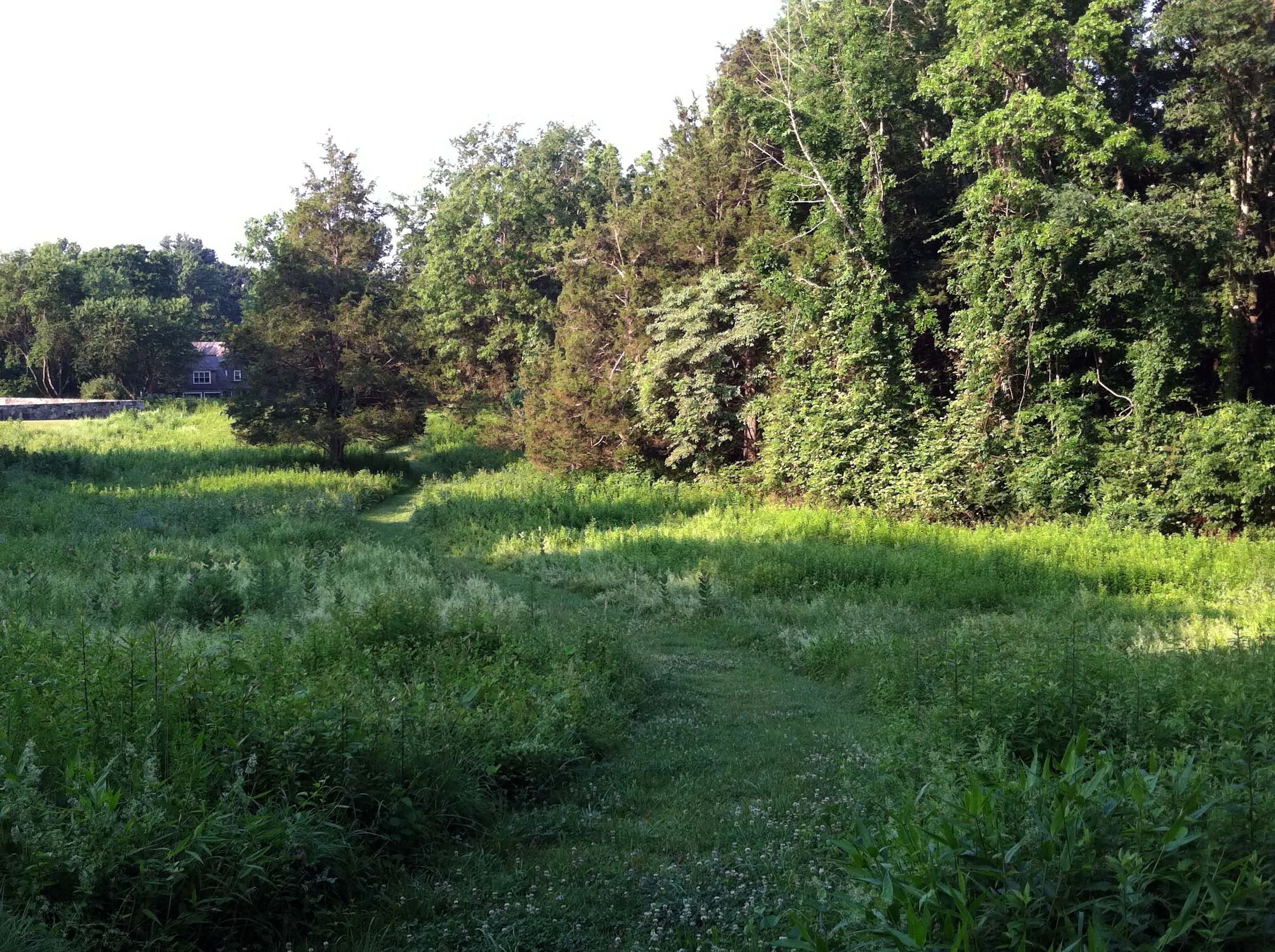 Guard_Hill_Path3(1).jpg