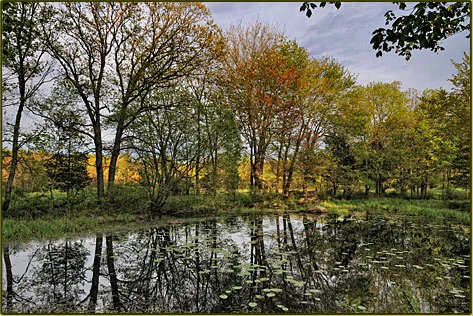 tt_randallsFarm(1).jpg