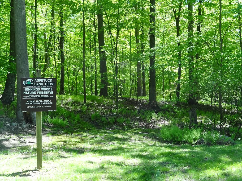 jennings woods.jpg