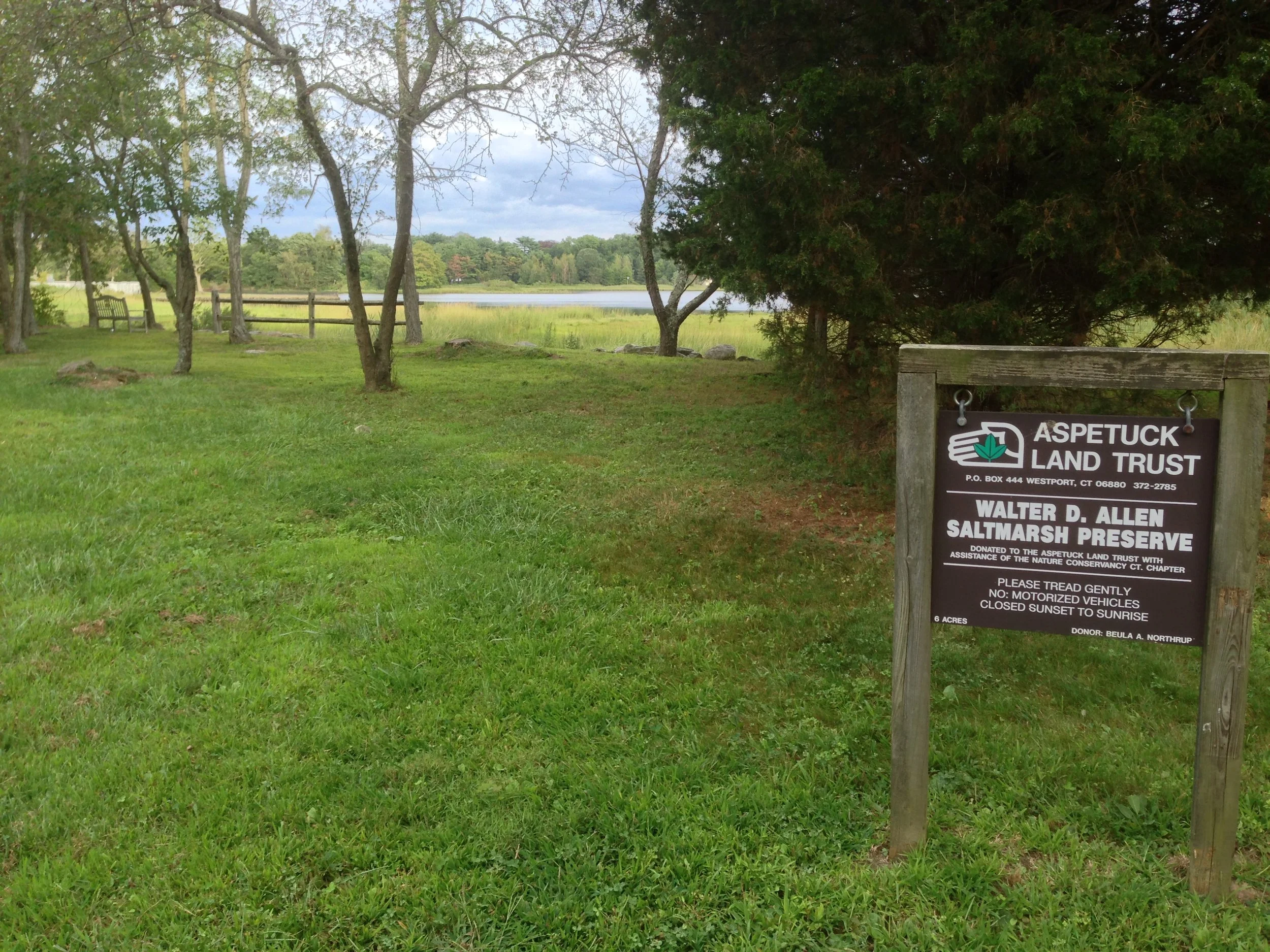 allen salt marsh.jpg