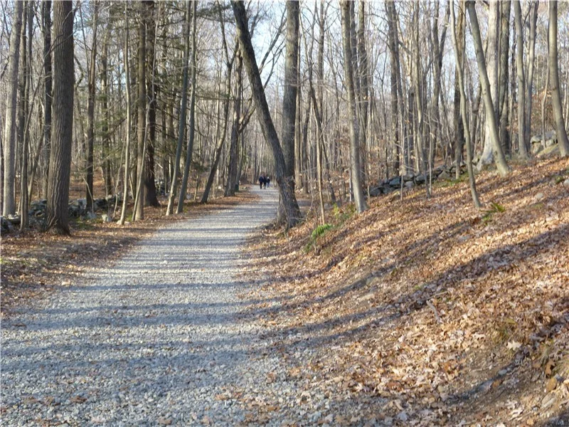 crow hill.jpg