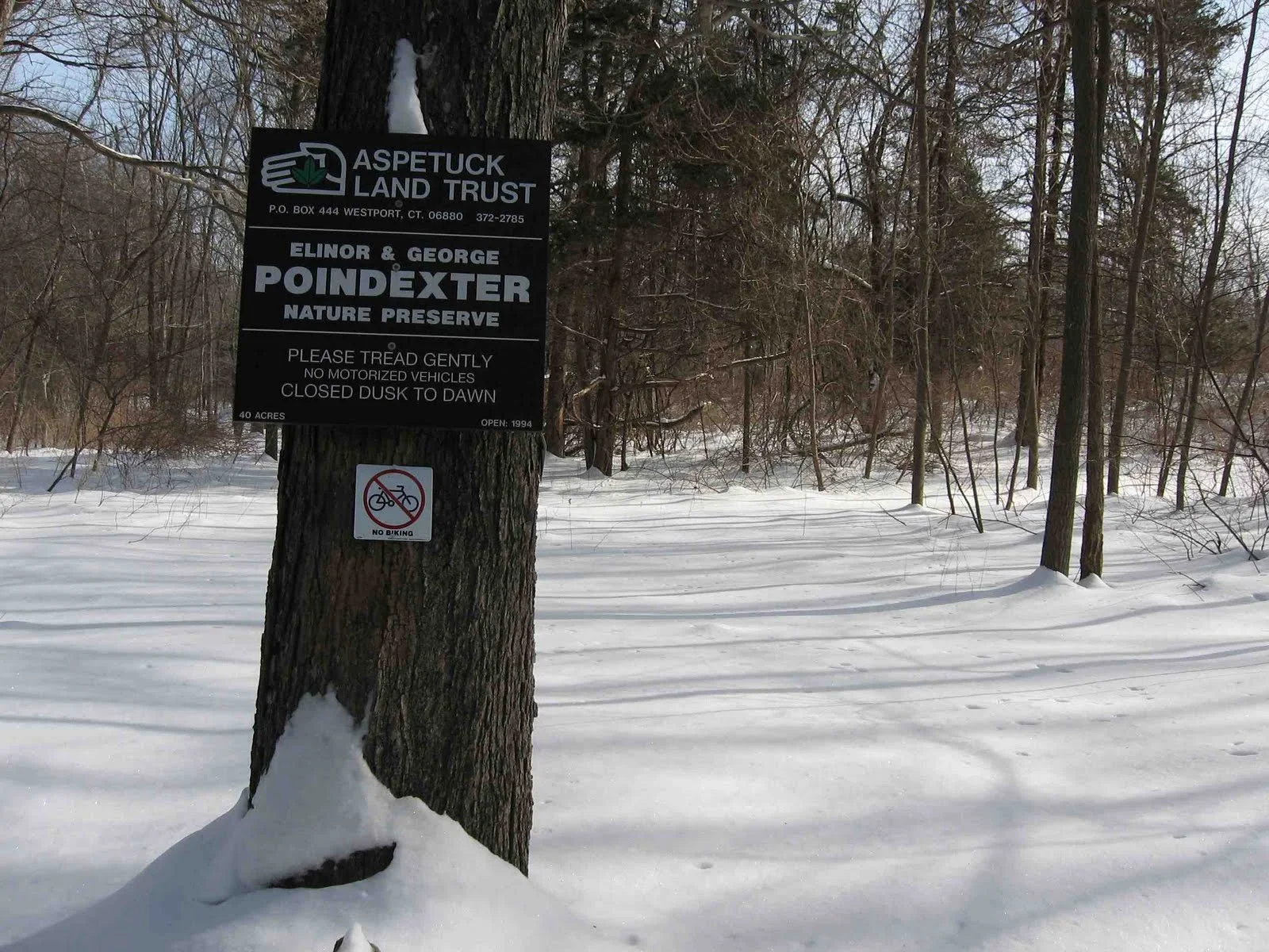 easton_pointdexter_trees.jpg