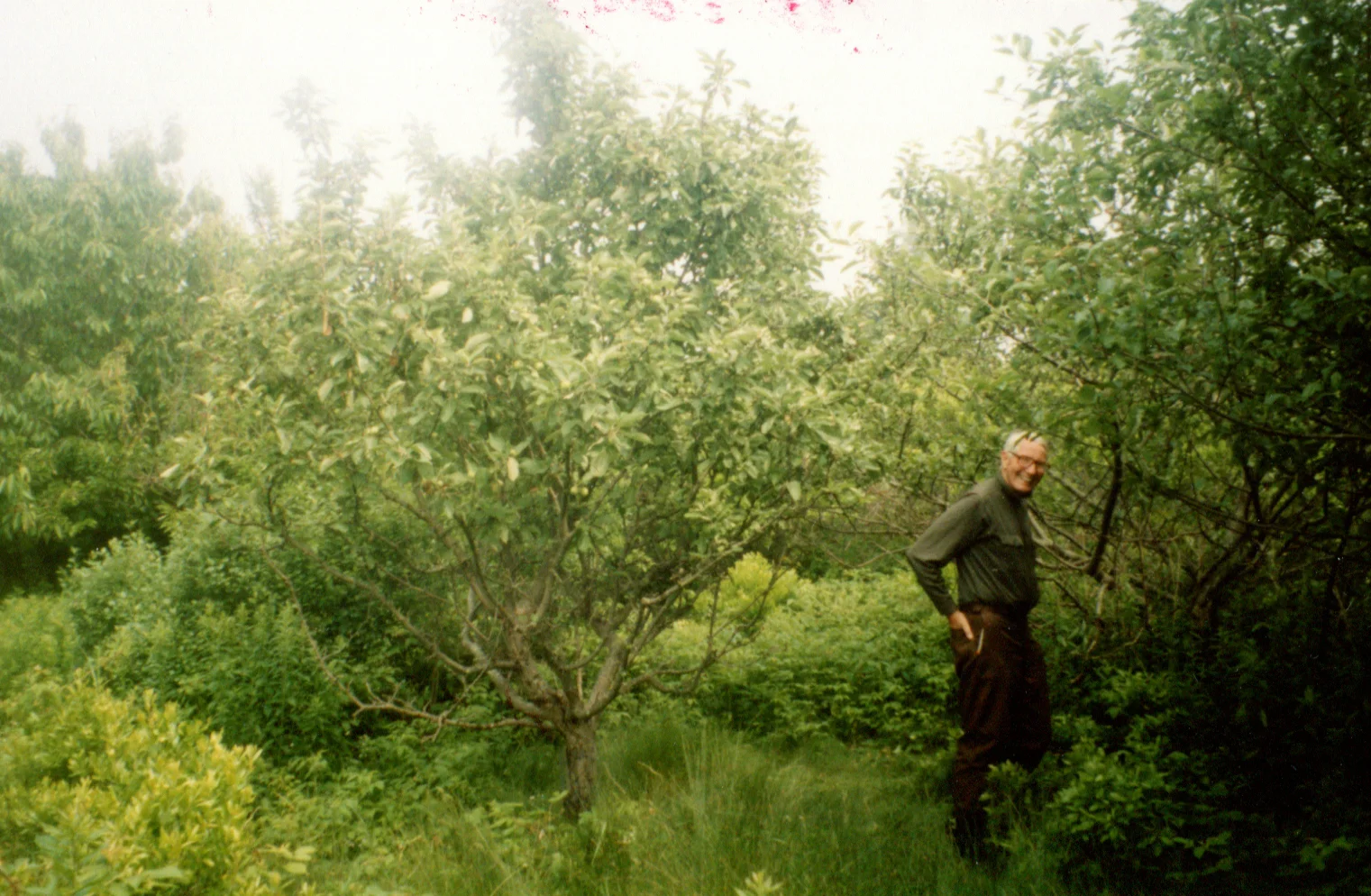Bob Belknap walking the 38-acre property in Weston off of Georgetown Road