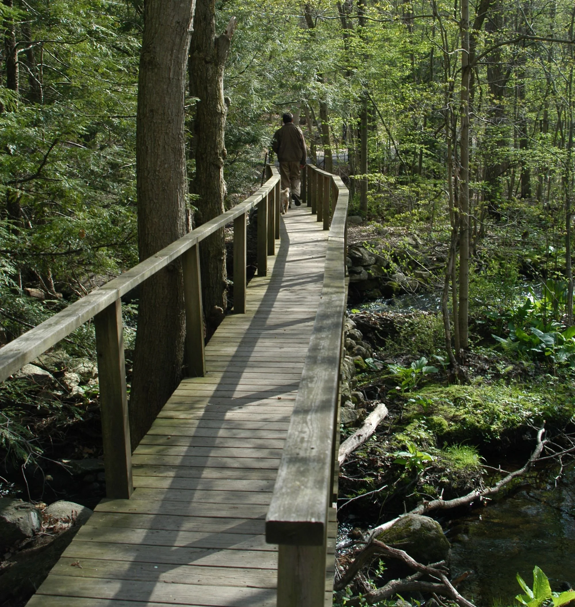 Stonebridge Waterfowl Preserve, Weston.jpg