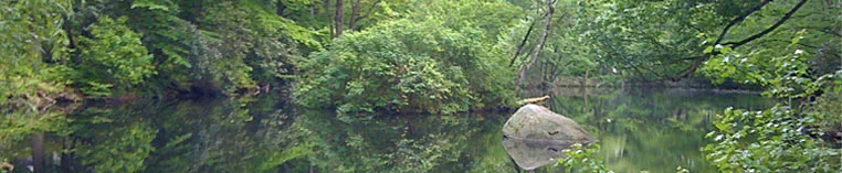 Morton Pond.jpg