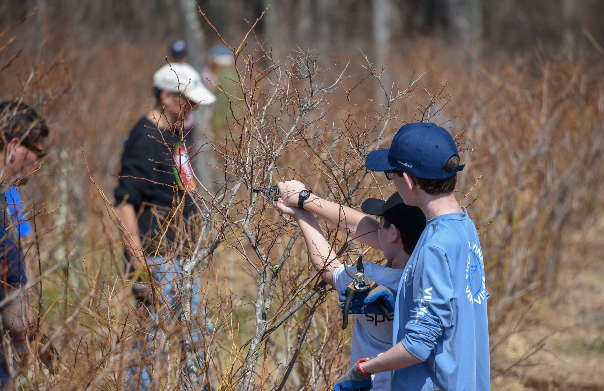 Blueberry Pruning April 5th, 6th, 12th, 13th Join old friends and make new! Click here to learn more.