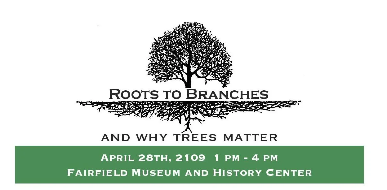 Roots to Branches AND WHY TREES MATTER