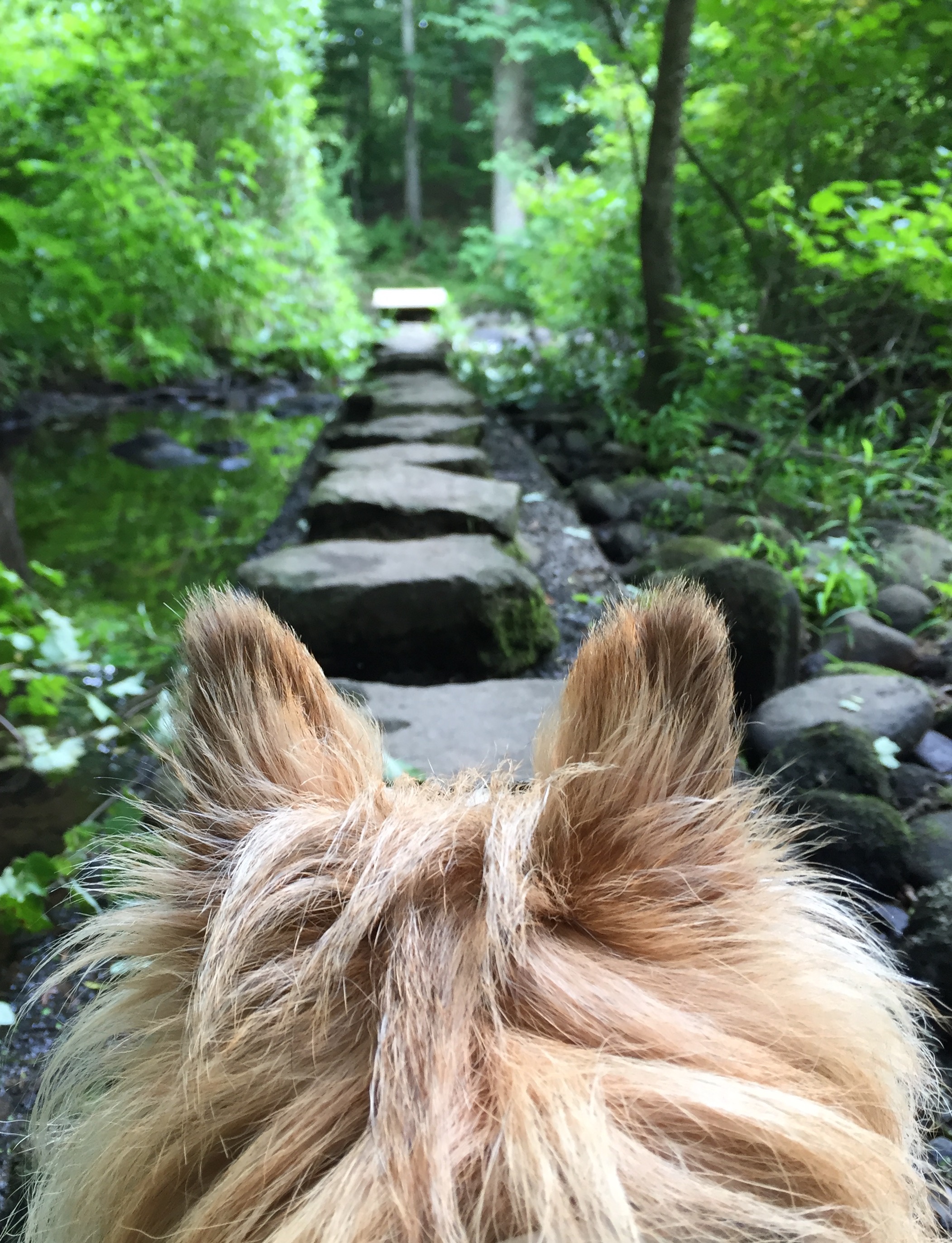 Photo Credit: Jacquie Littlejohn