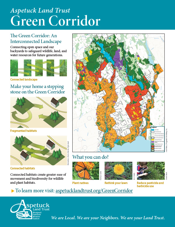 ALT_GreenCorridor_Flyer_F-1_Page1.jpg