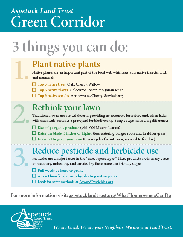 ALT_GreenCorridor_Flyer_F-2_Page2.jpg