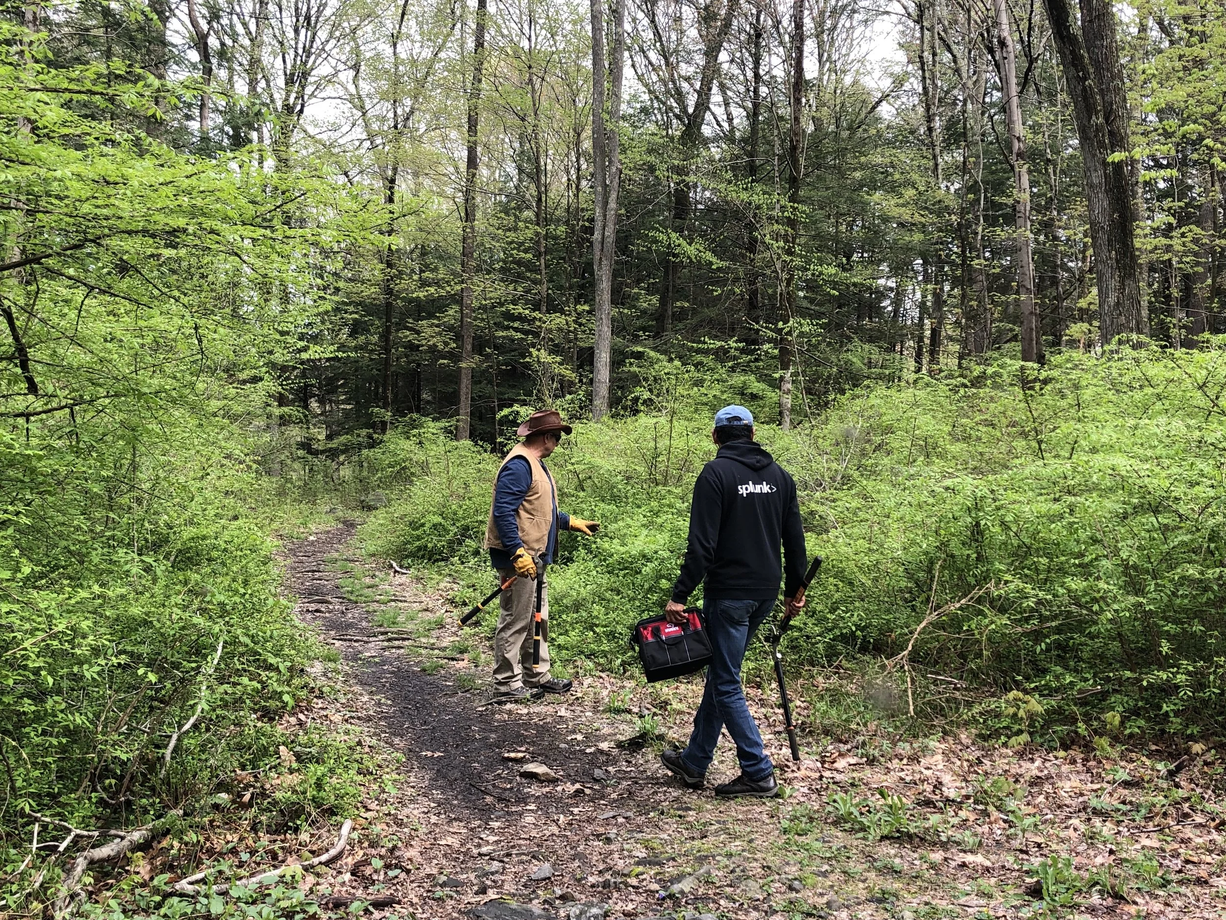 Invasive Plant Removal September 28th, 2019