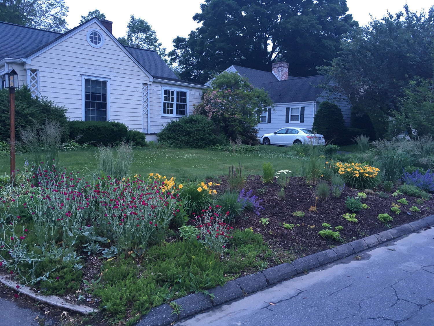 Yard in D Brant's hood.jpg