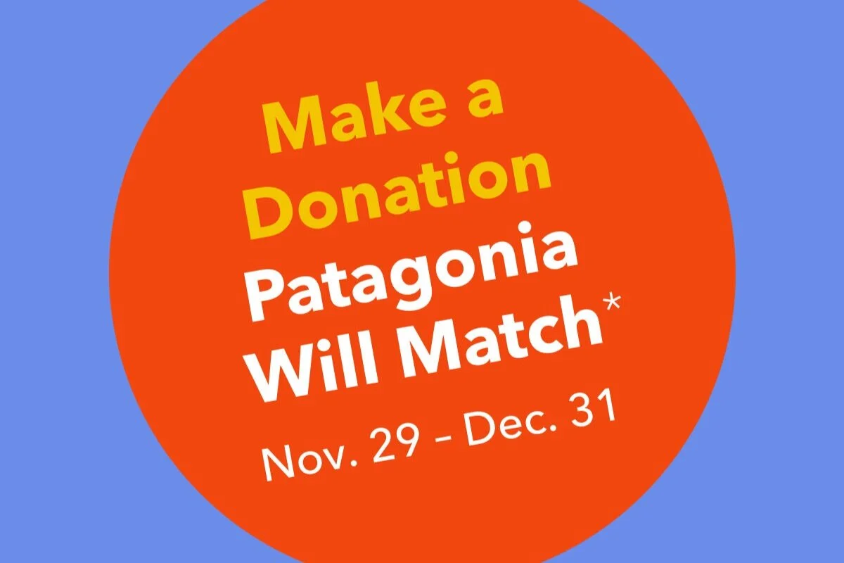 Patagonia Action Works Matching Grant