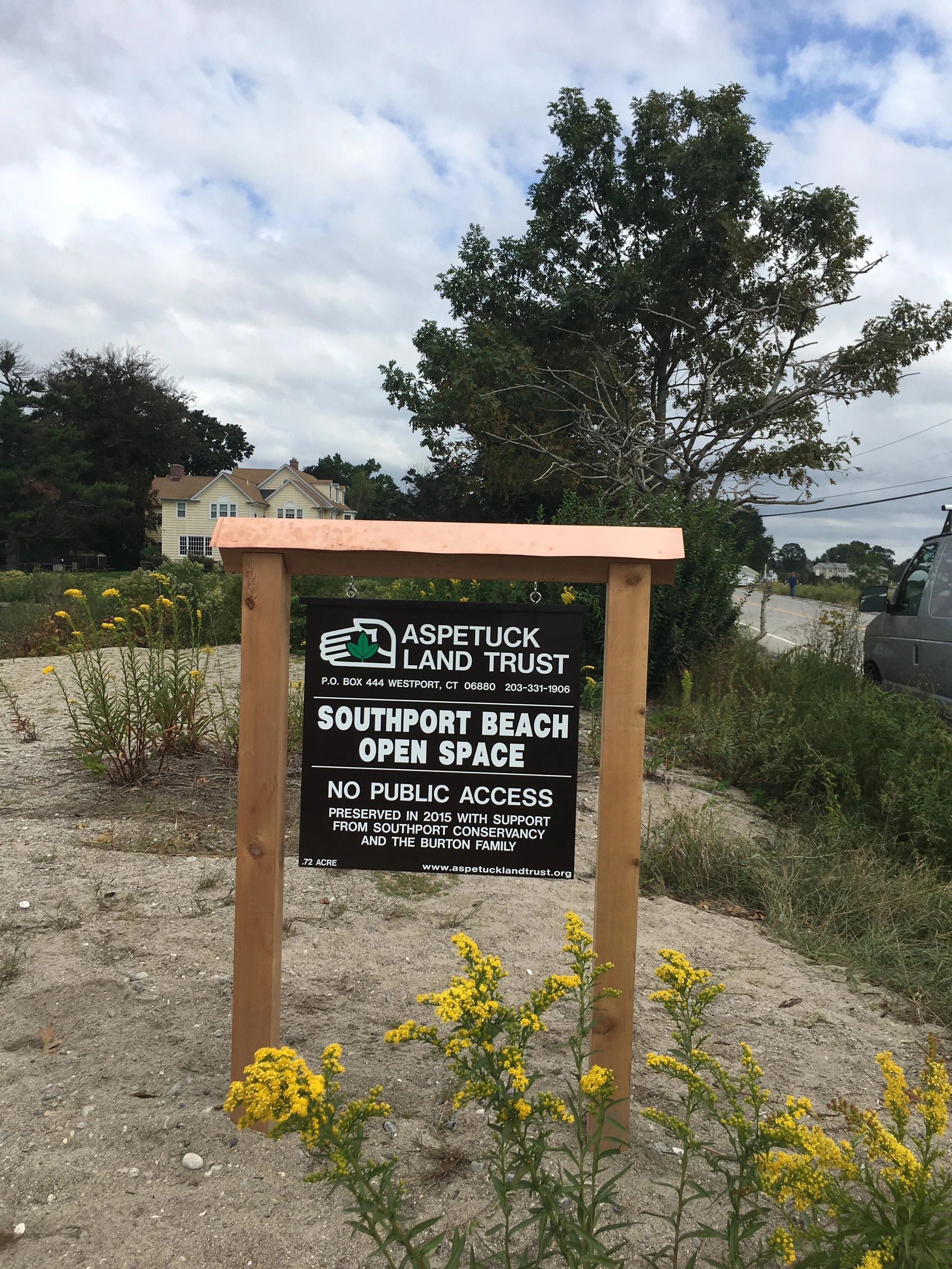 Seaside Goldenrod…an important native pollinator plant!