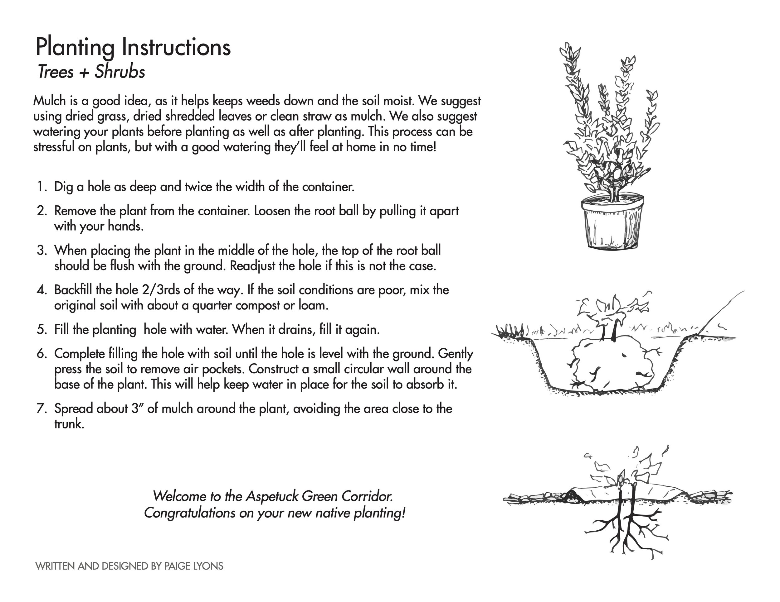 Tree and Shrub Planting Instructions