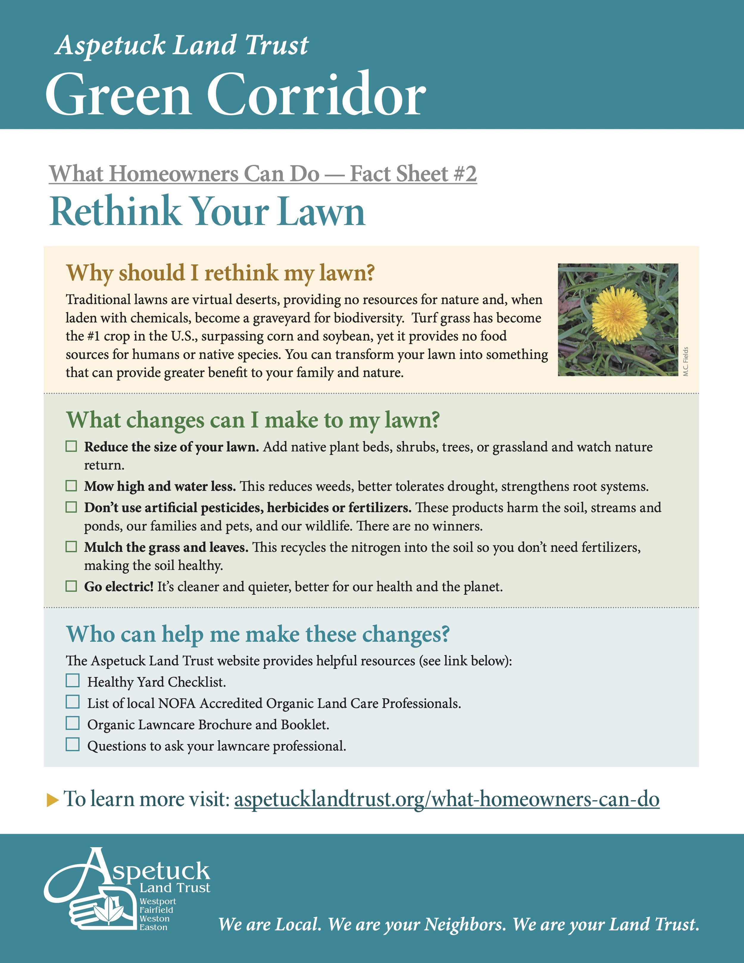 Rethink Your Lawn