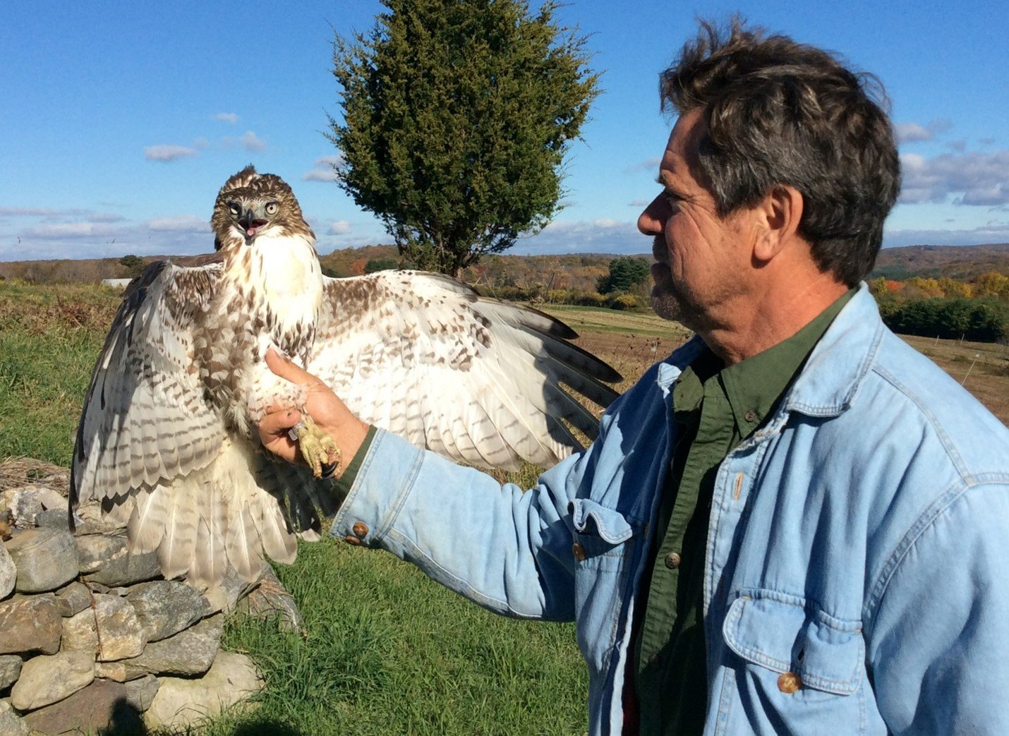 Hawk Walk with Larry Fischer