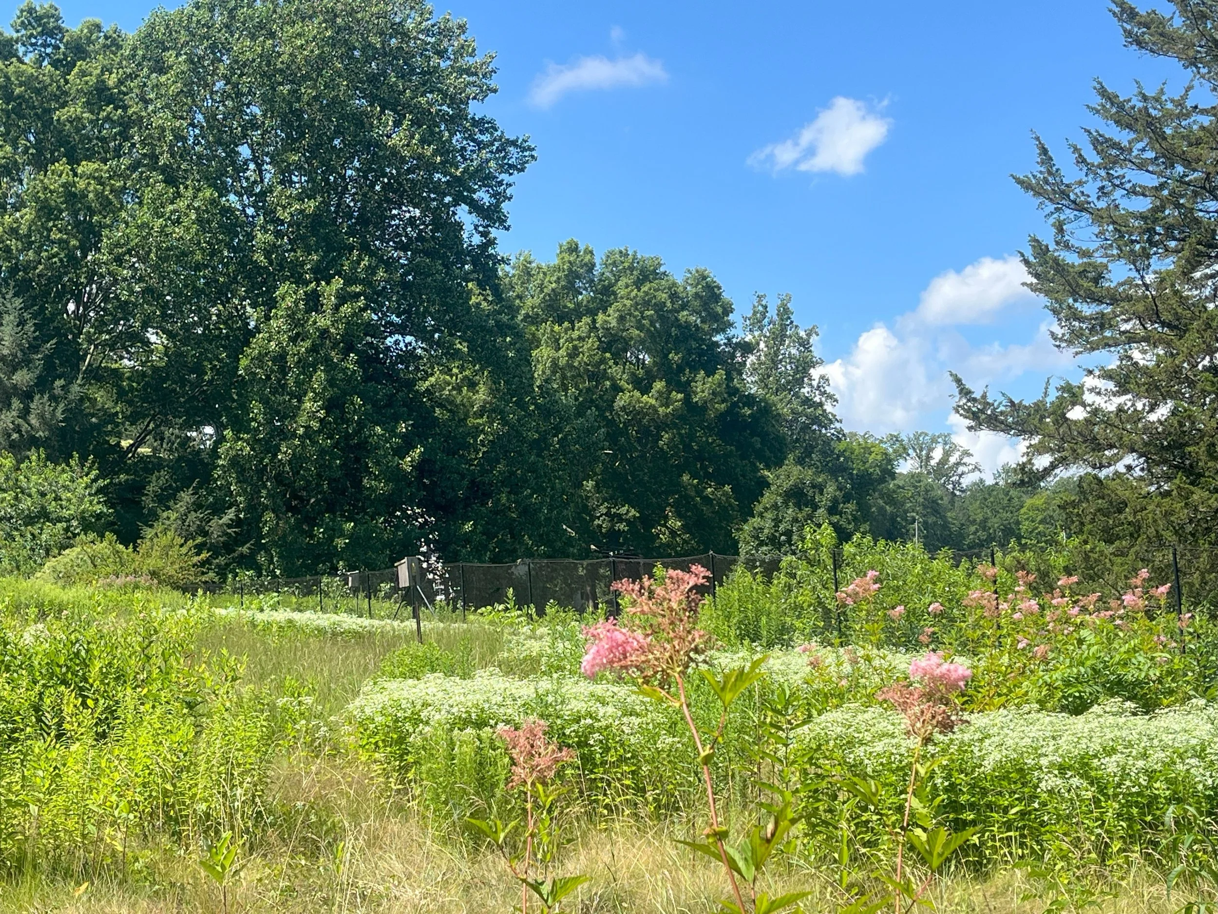 Verna Hill Garden Tour and Talk with Charlie & Annie Stebbins