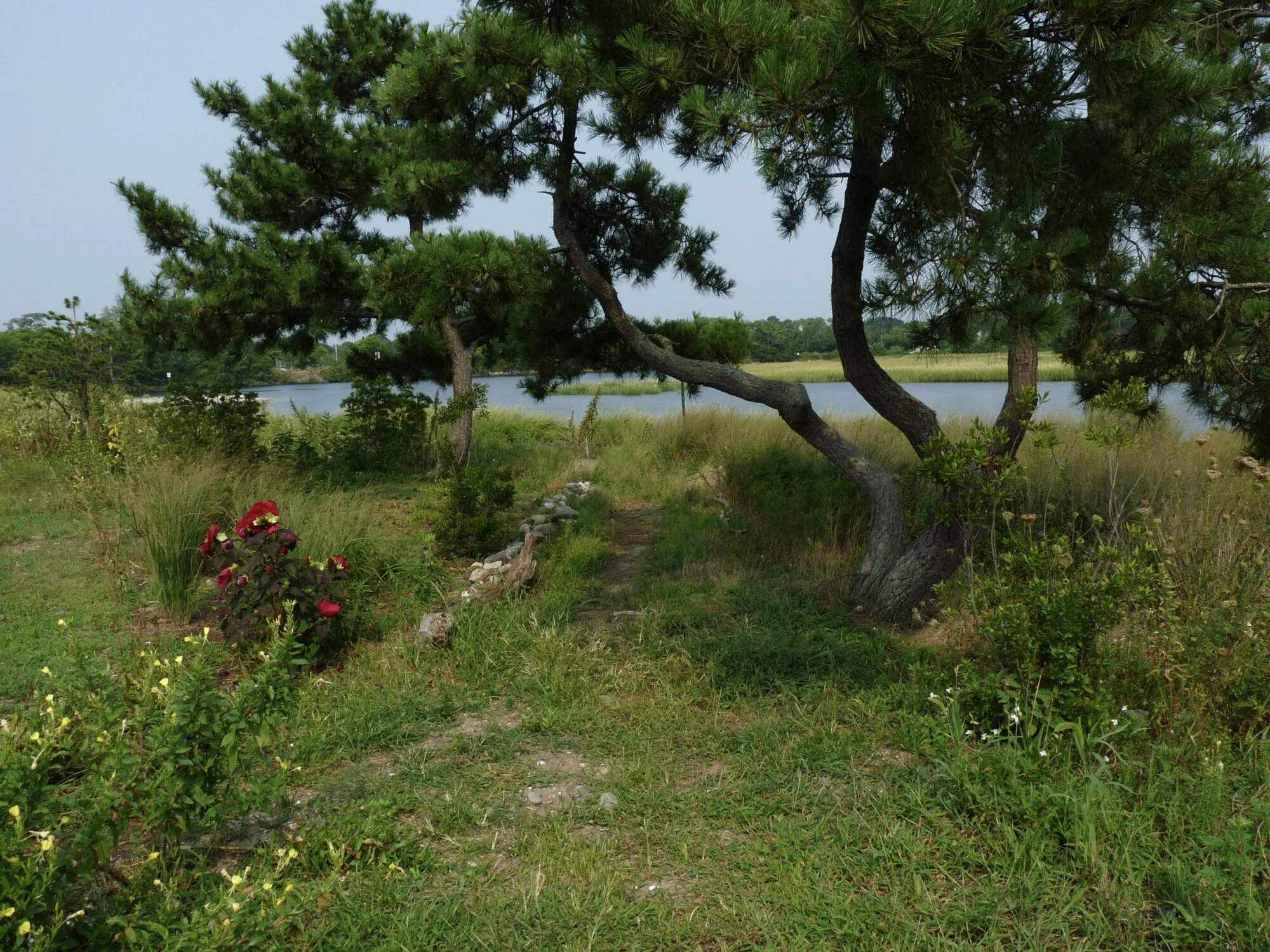 Buffers in Bridgeport Are Connecting Communities to the Environment