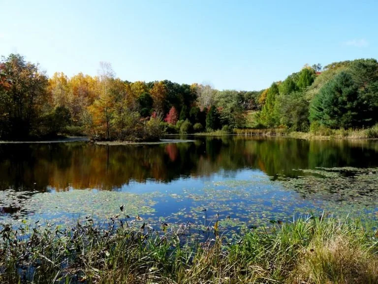 Highstead Signs Conservation Easement to Protect Land 