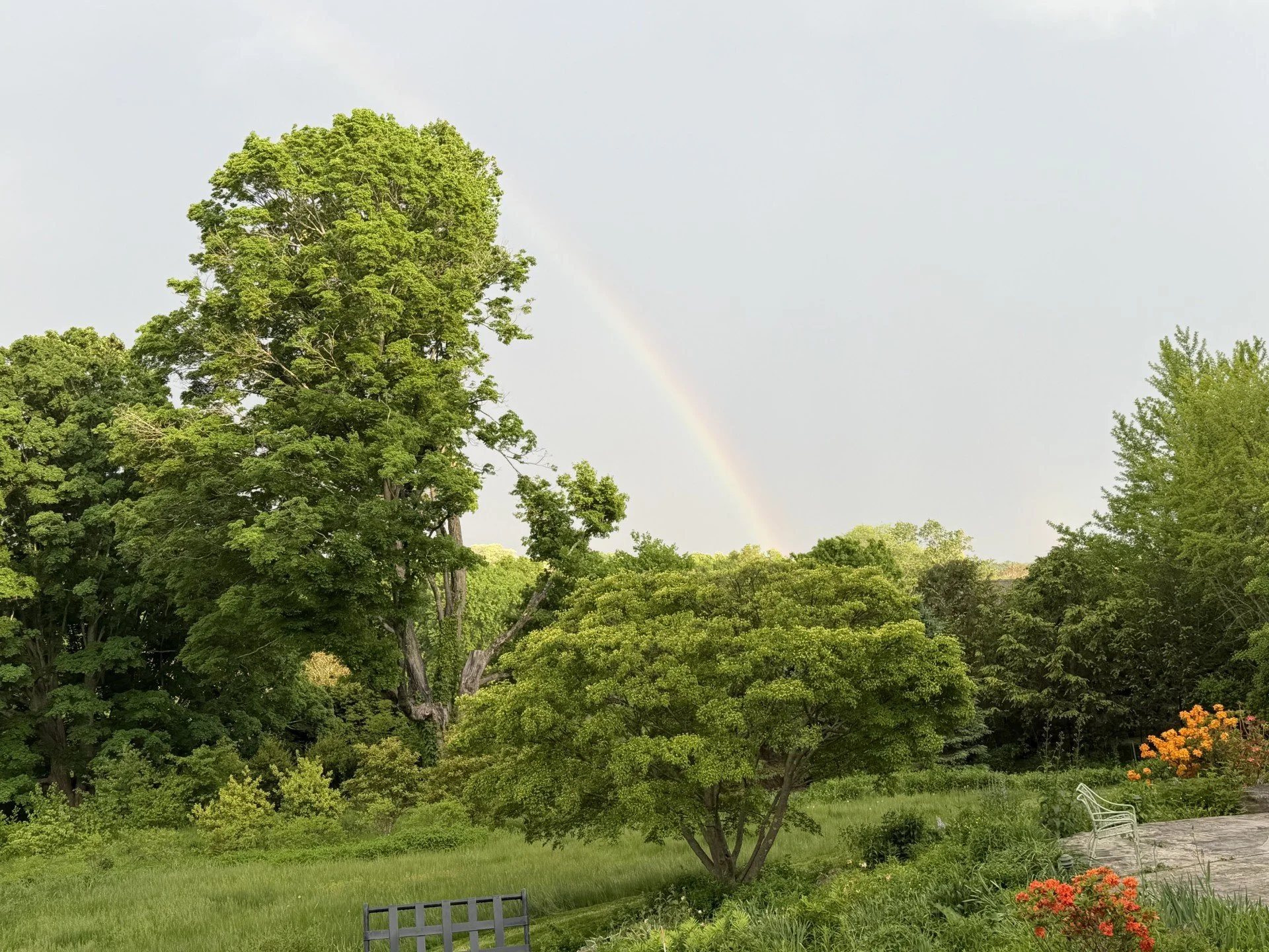 Verna Hill Garden Tour with Charlie &amp; Annie Stebbins
