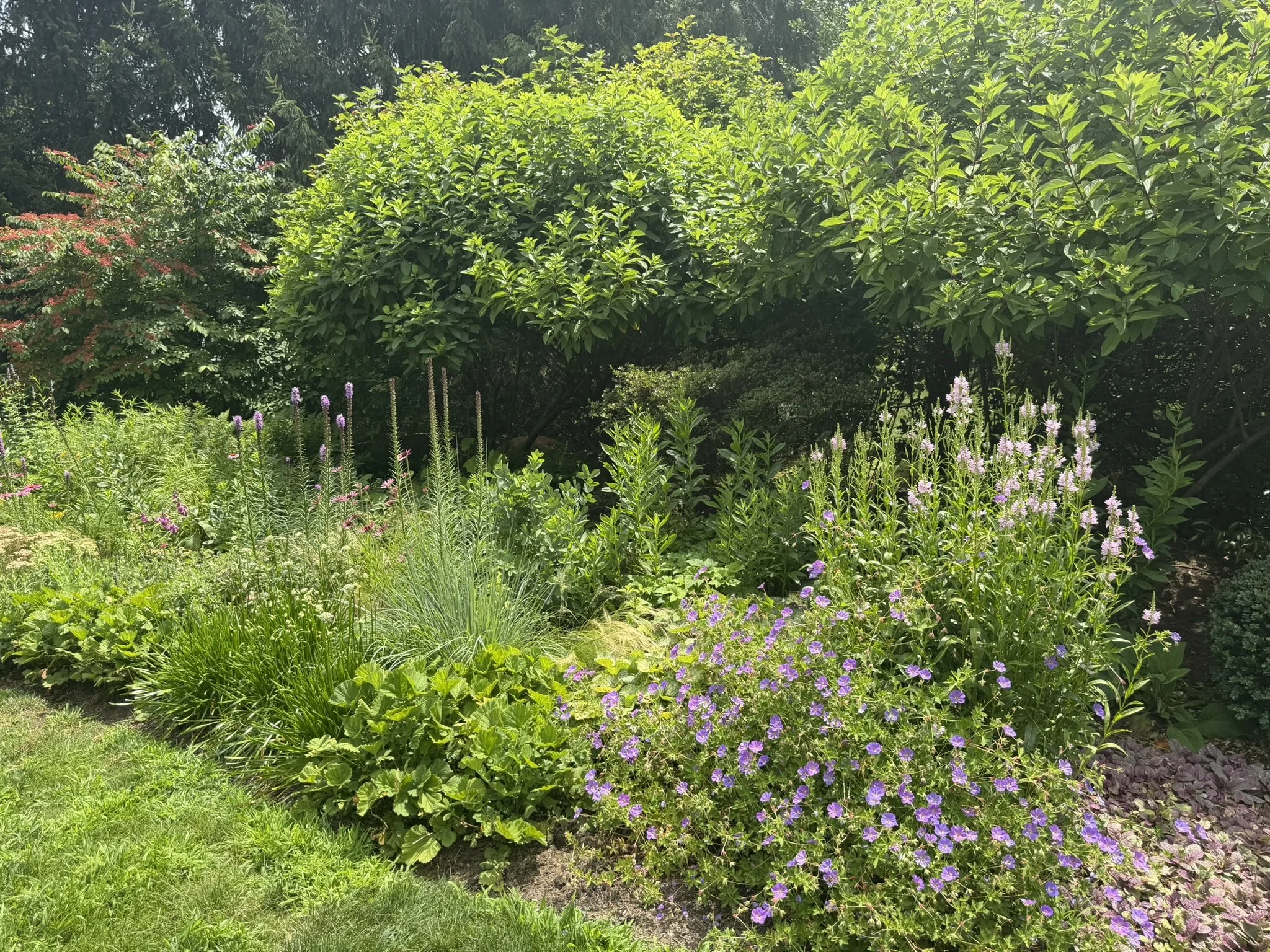 Garden Tour with Jay Petrow