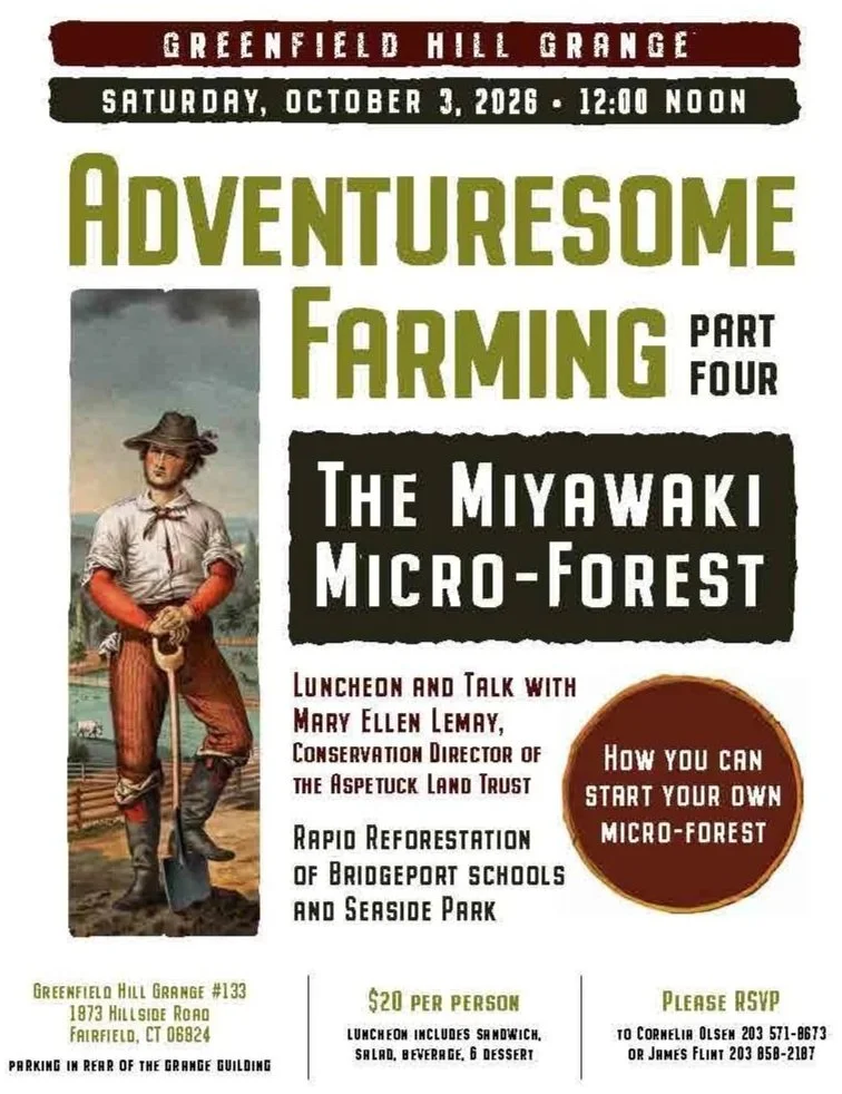 The Miyawaki Forest with Mel Lemay