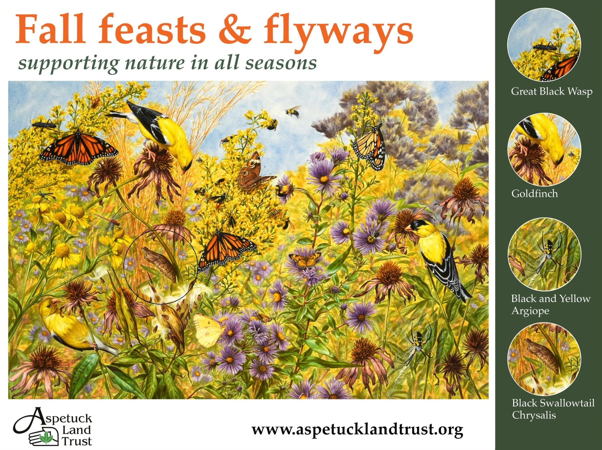 Fall Season Help Sign Seasonal Signs Fall โ Aspetuck Land Trust