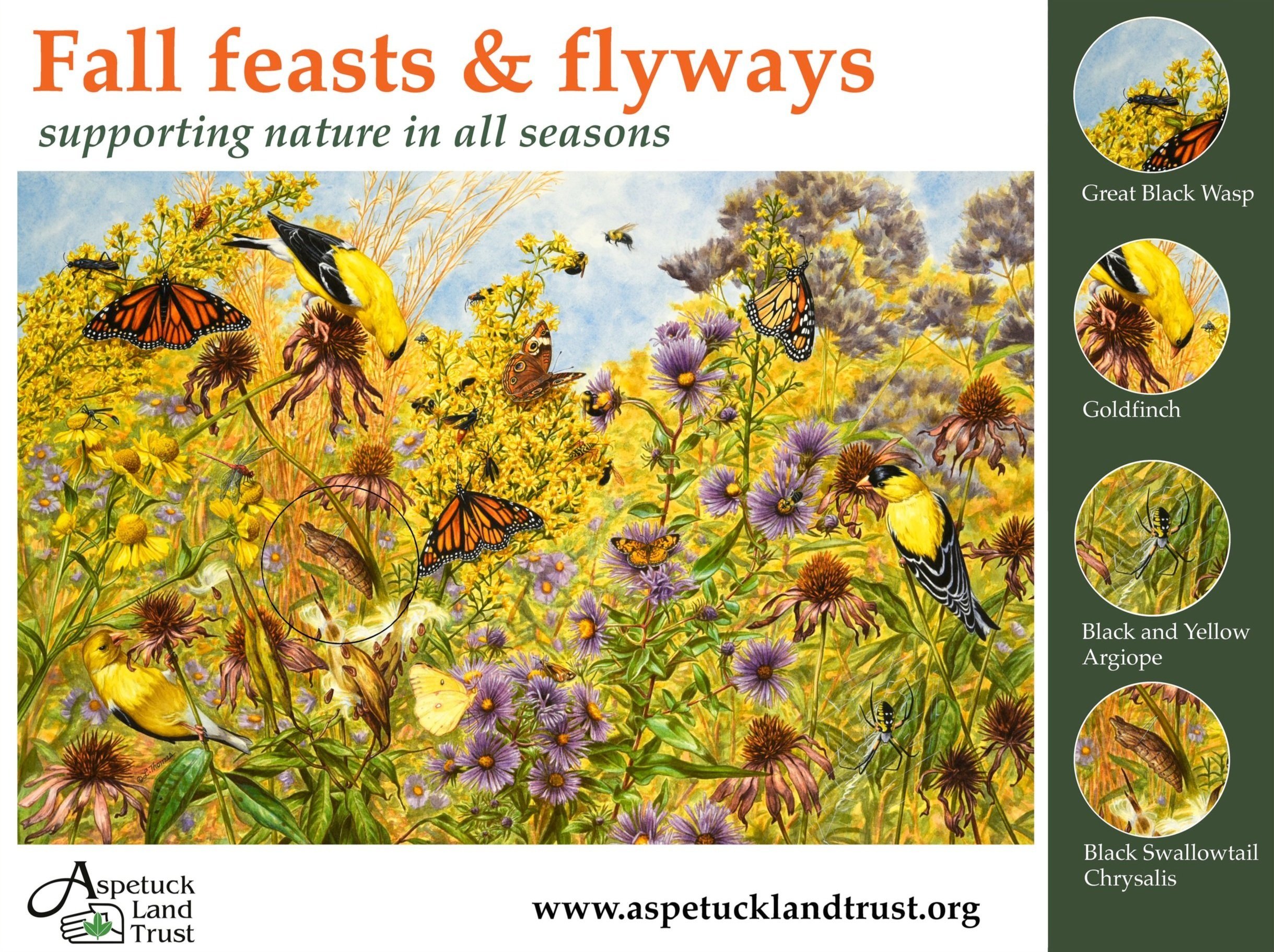 Seasonal Signs Fall — Aspetuck Land Trust
