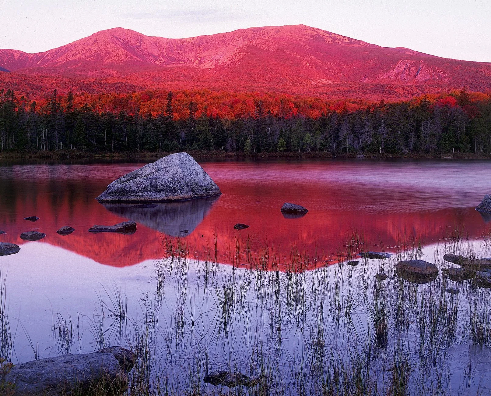 Haskins Lecture 2025 with Tom Butler - From New England to Patagonia: Wildlands and the People Who Save Them