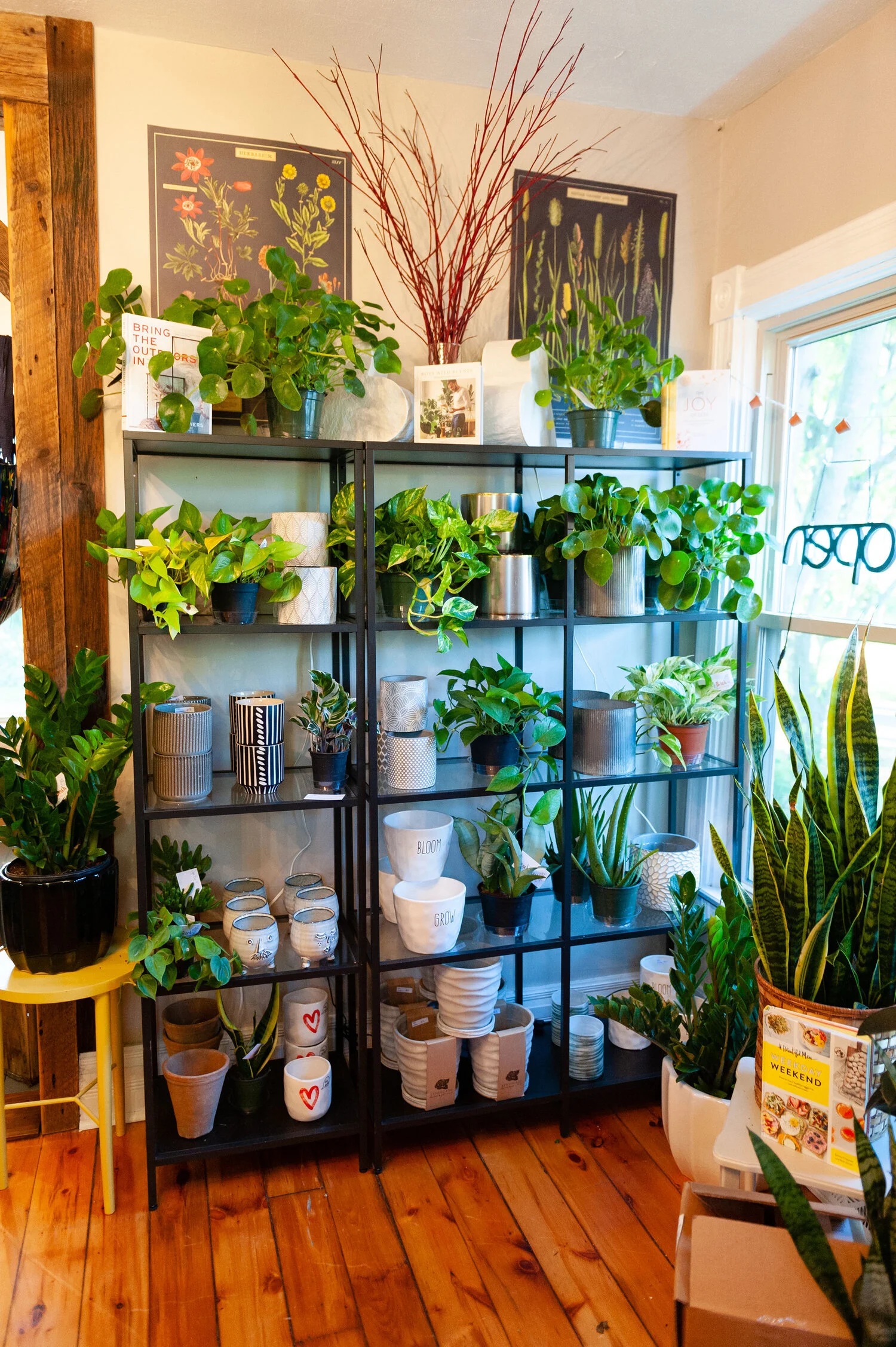 Green Bay Florist Green Bay Floral Delivery & Arrangements