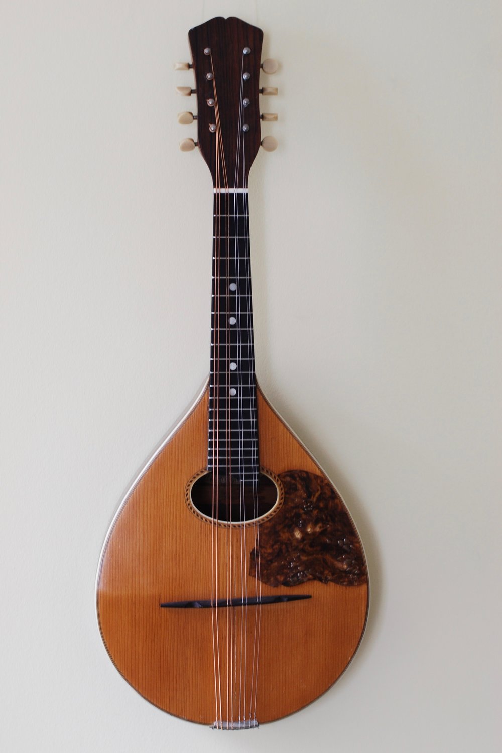 Vega A-style Mandolin (circa 1920s) — Stubblebine Lutherie