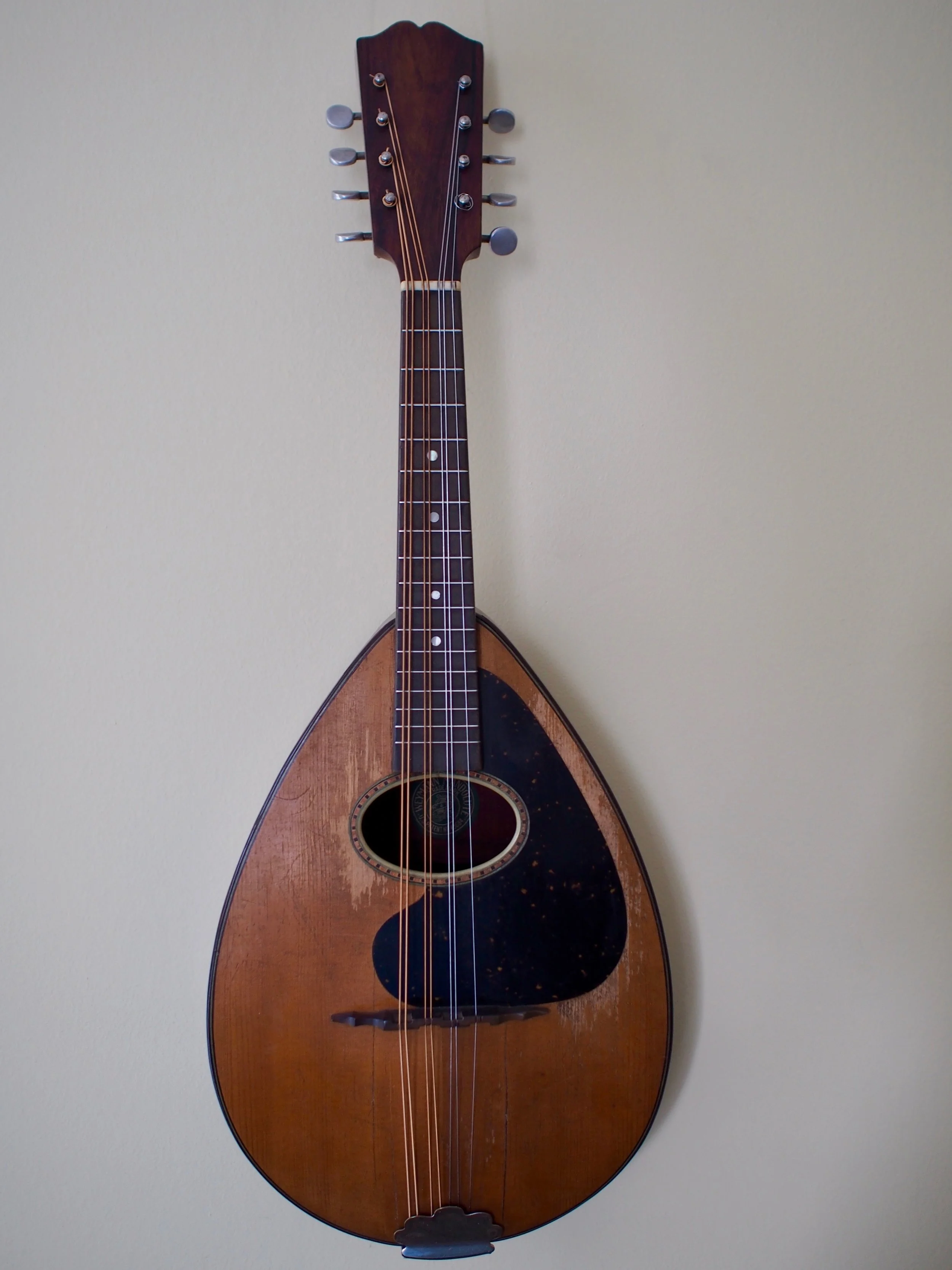 Weymann Mandolute (ca. 1920s)