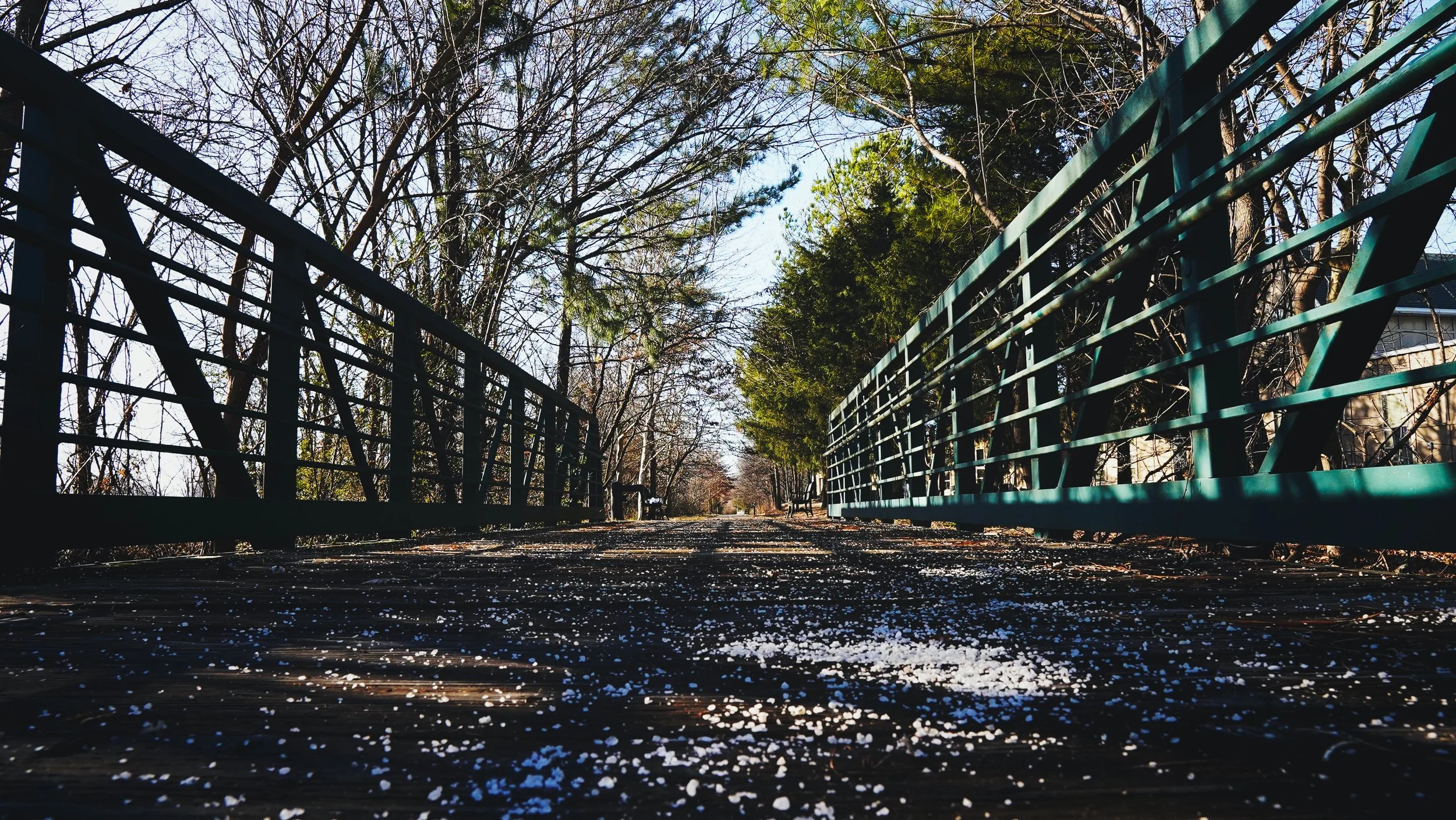 Lectionary Readings week of April 11th