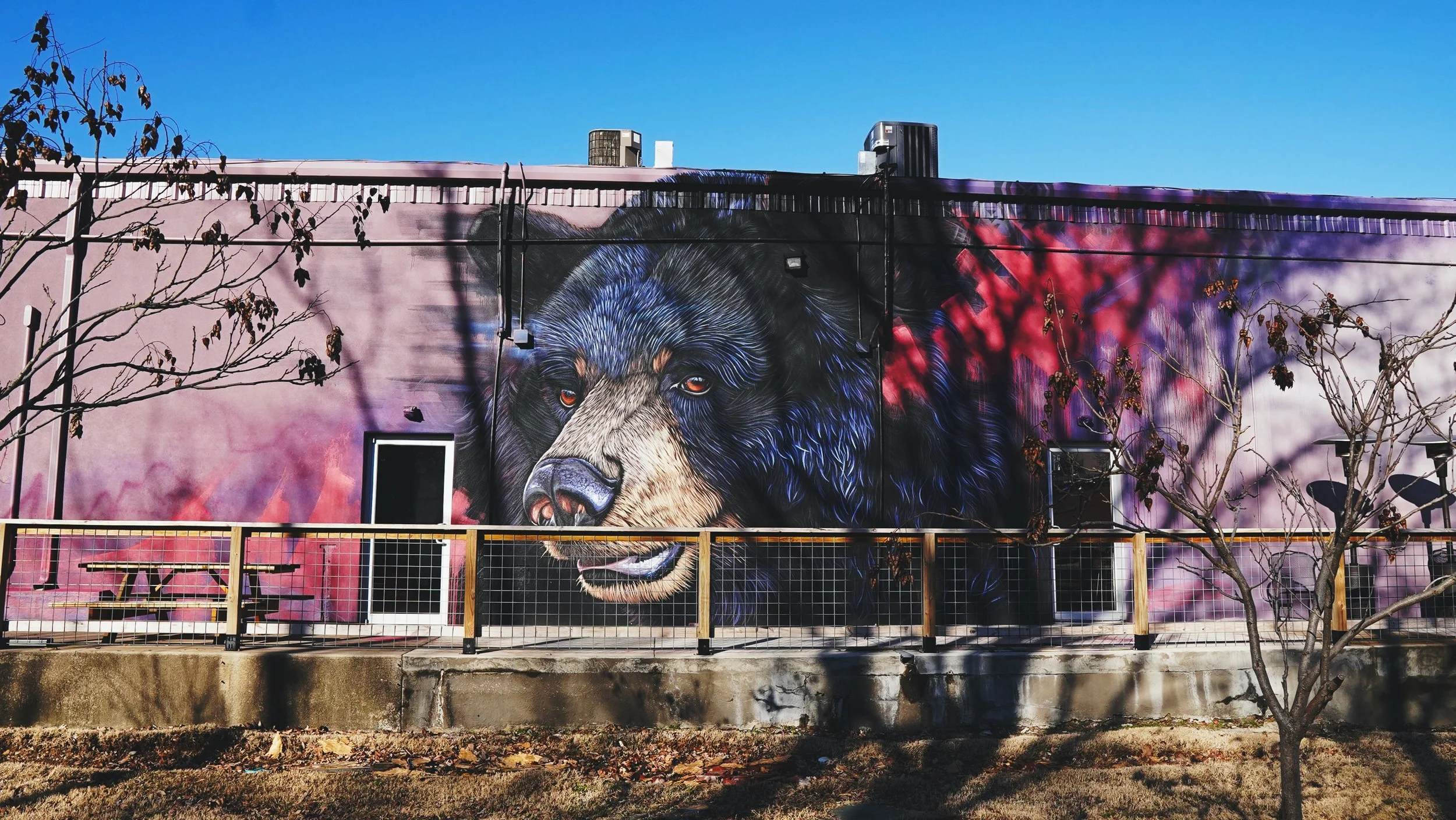 Lectionary Readings week of June 6th