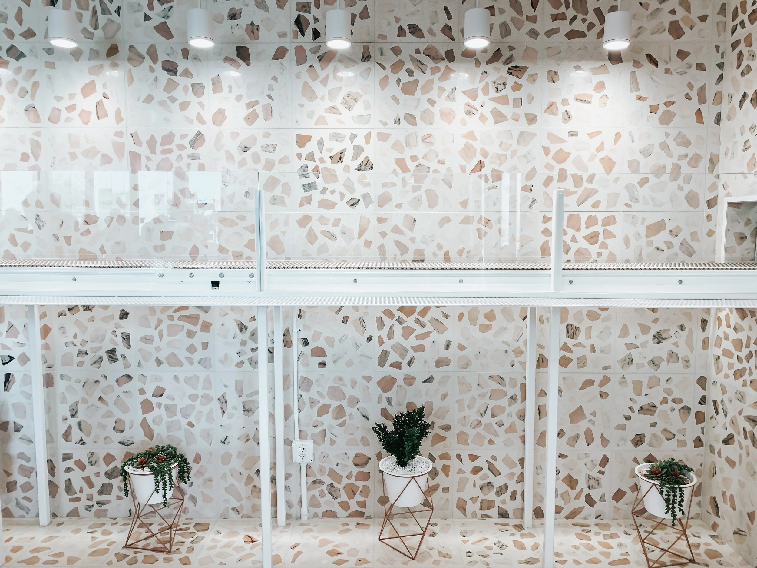 Lectionary Readings week of Oct 24th