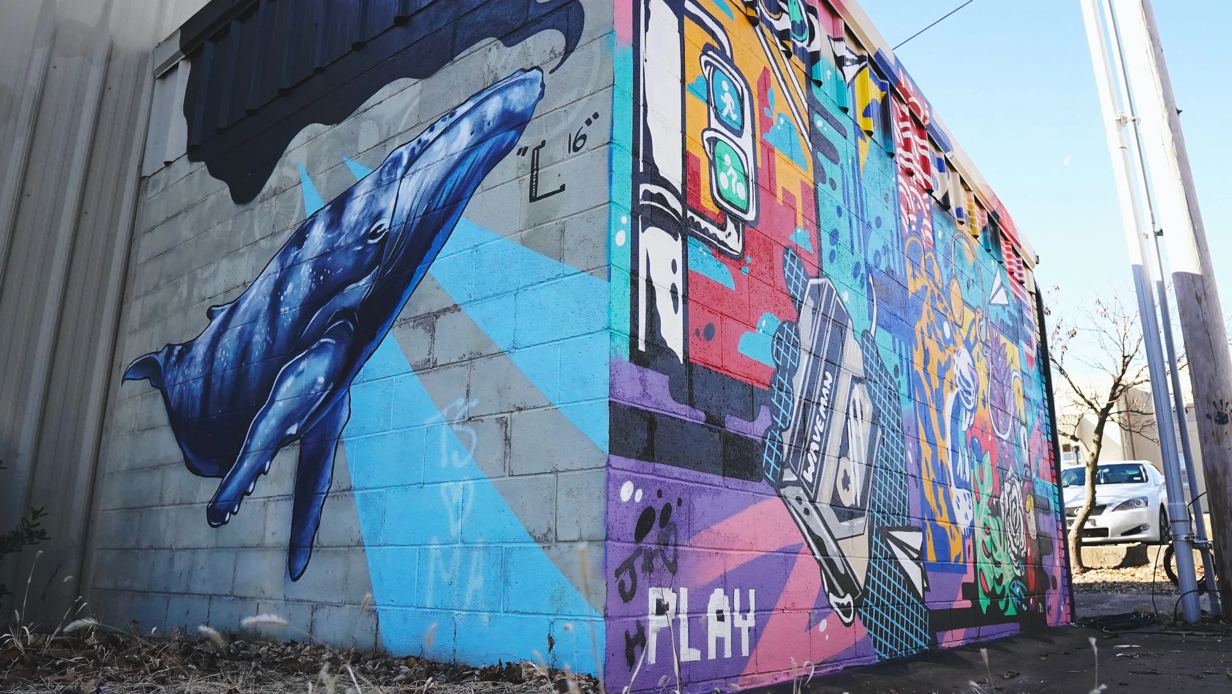 Lectionary Readings week of Feb 13th