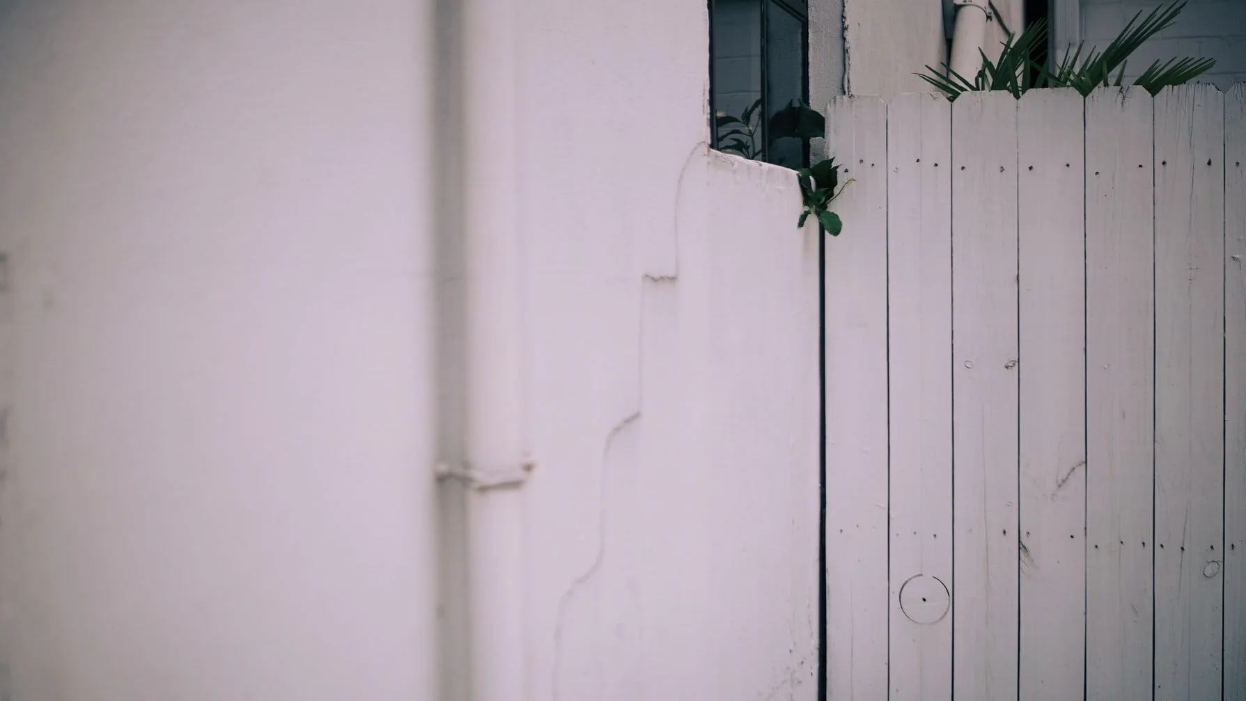 Lectionary Readings week of Feb 20th