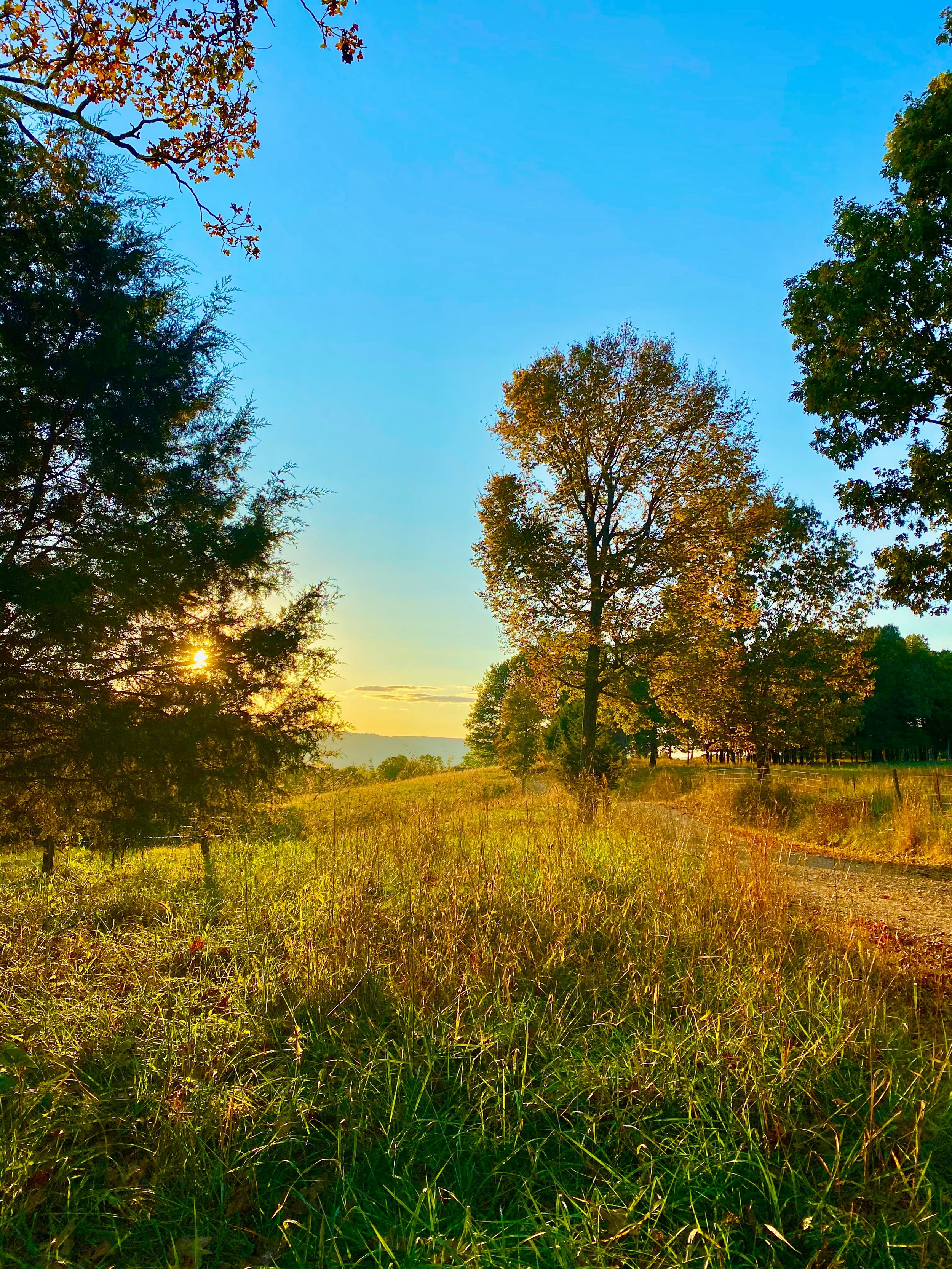 Lectionary Readings Week of April 6th