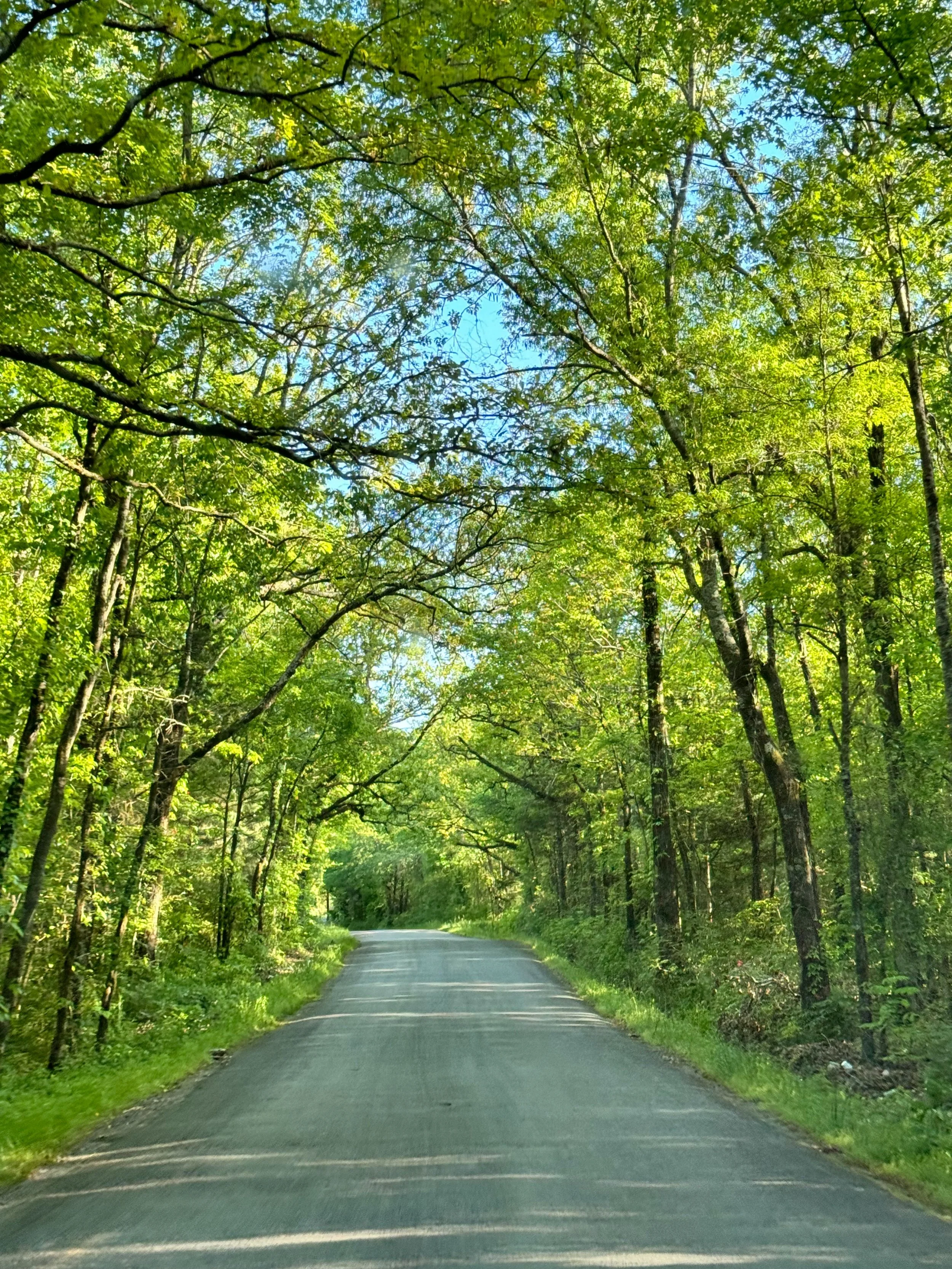 Lectionary Readings Week of April 27th