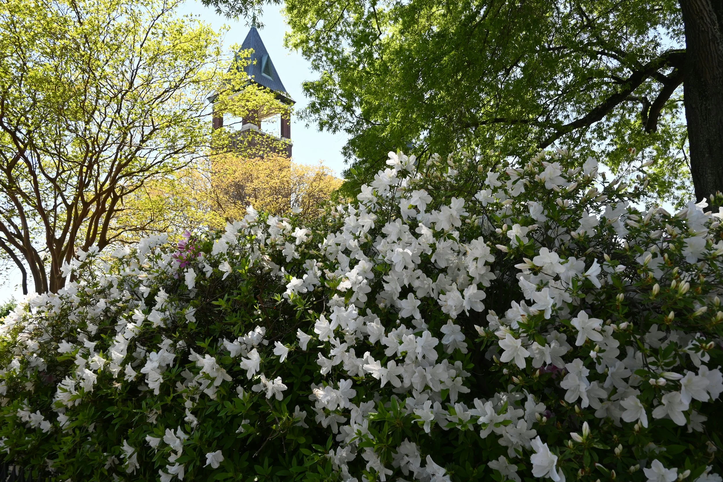 Lectionary Readings Week of June 1st