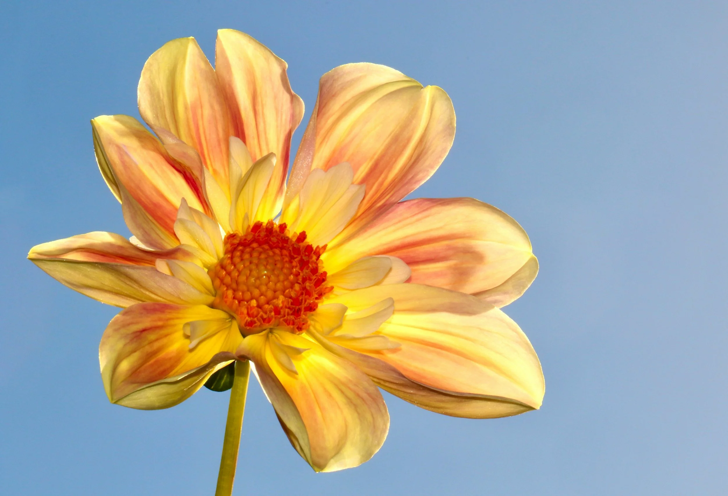 Lectionary Readings Week of July 13th