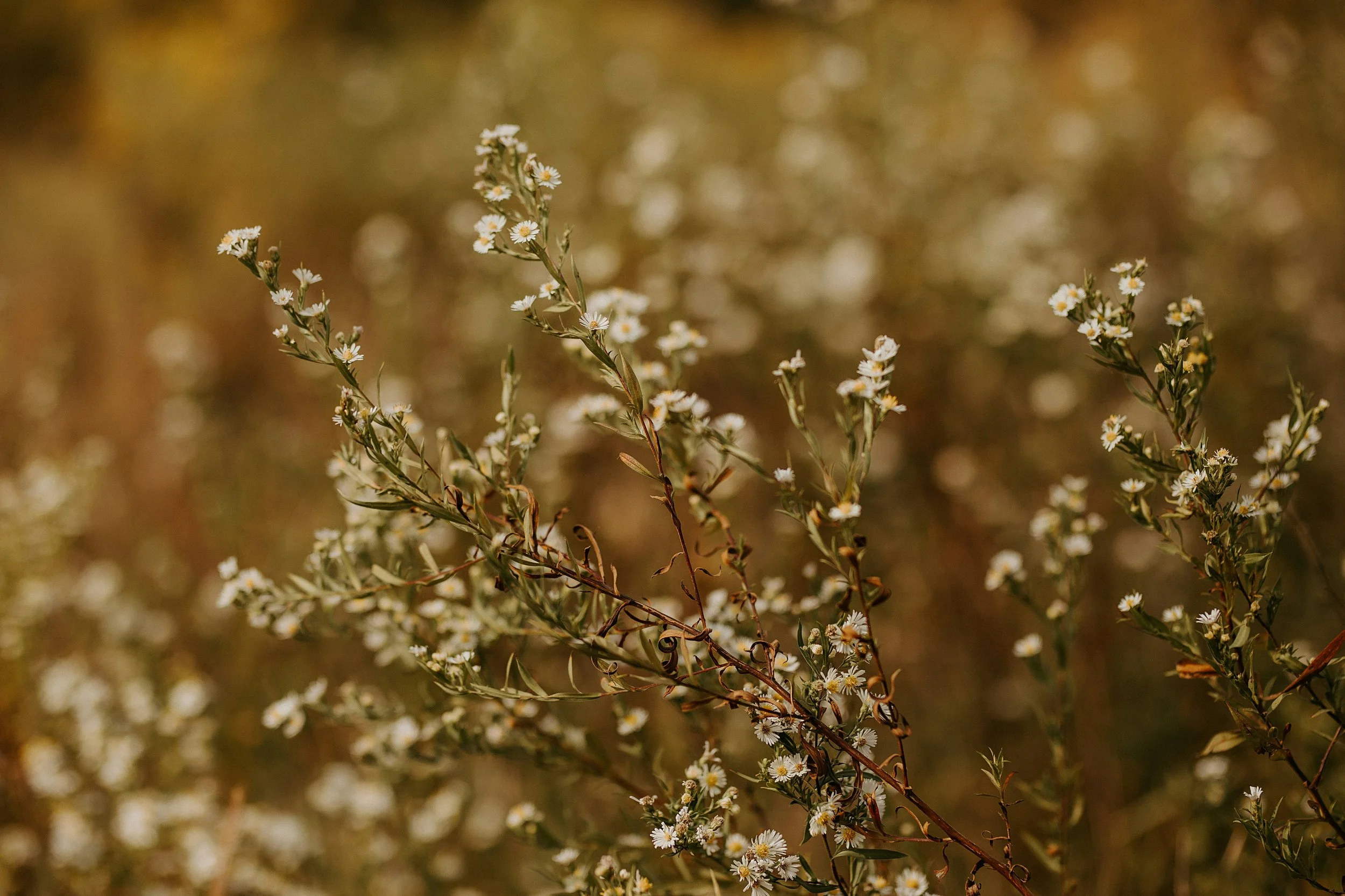 Lectionary Readings Week of September 28th