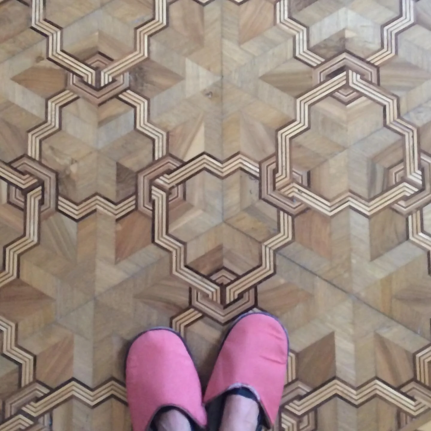 Step 23 

#tonicjournal #palladio #slipperyslippers