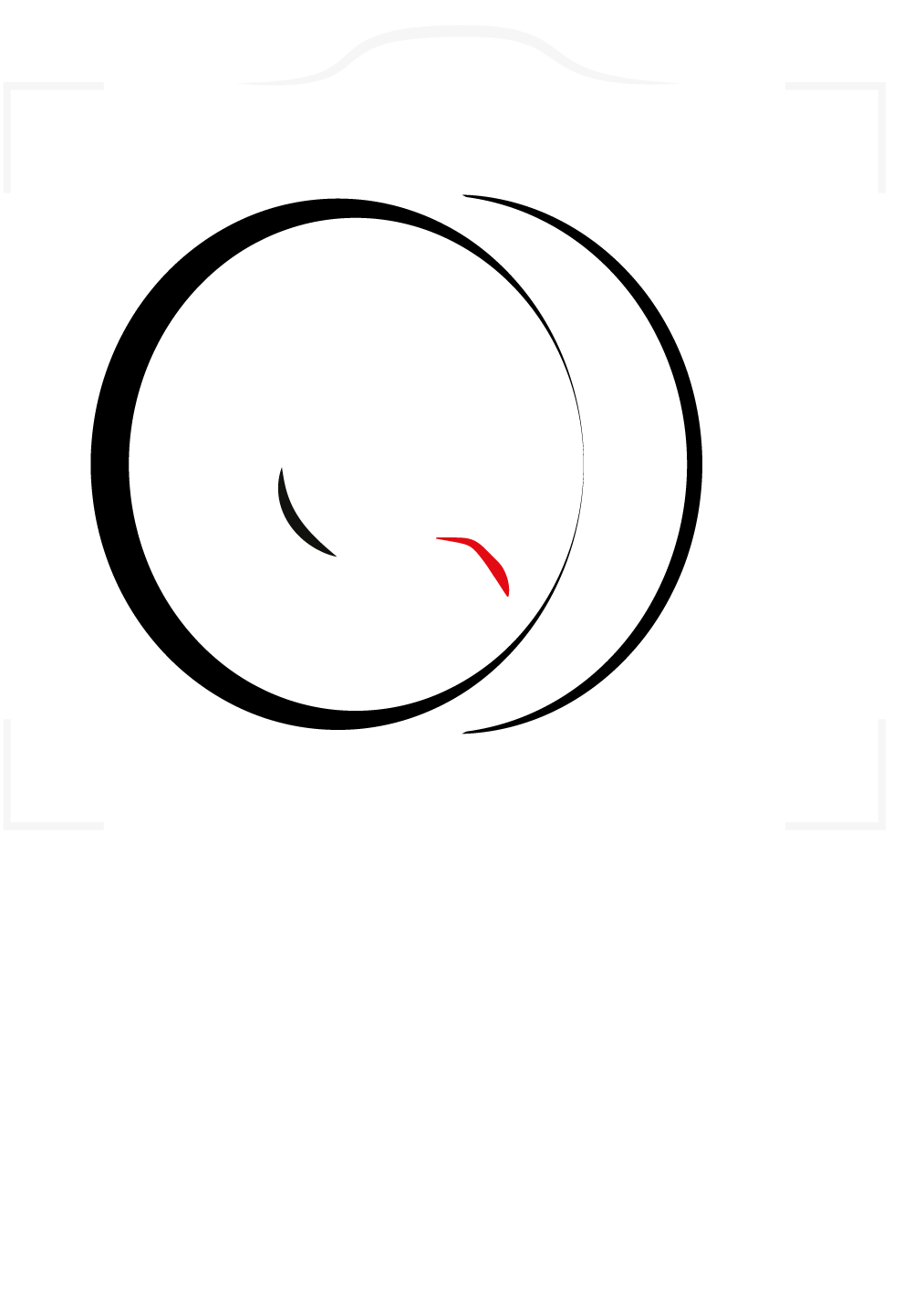 Wag & Snap_logo_blue removed_7_removed blue layer.png