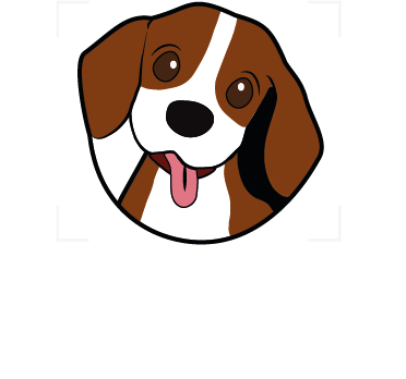 Wag Walk & Play Pet services 