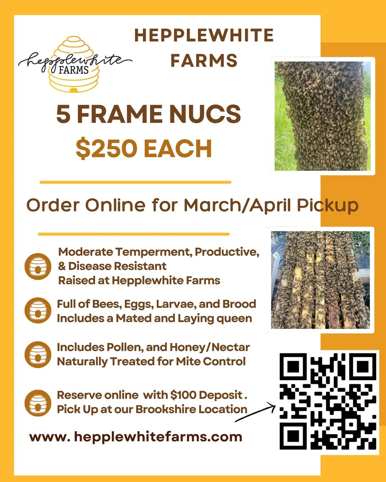 Reserve now to pick up your bees in March/April 2026 #hepplewhitefarms  #texasbees